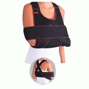 Case Welpo Bandajı Yetişkin S-M