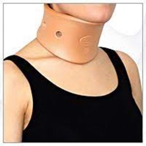 Case Nelson Boyunluk 4 No (40-42 Cm)