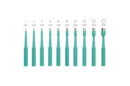 Galena Biyopsi Pançı Paslanmaz Çelik 6.0 mm (10 Adet)