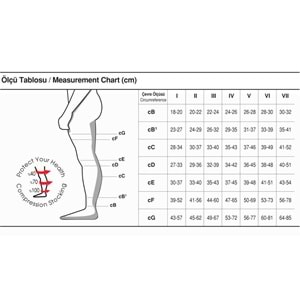 Case Diz Üstü Burnu Kapalı Ccl II Varis Çorabı Silikonlu No:1 Ten